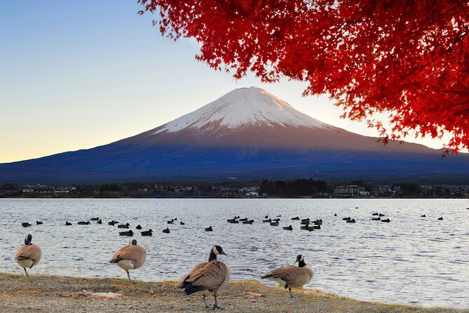 Mt Fuji Exclusive Tour with Private Car English Guide - The 9 to 10 hour rhythm, and why traffic matters