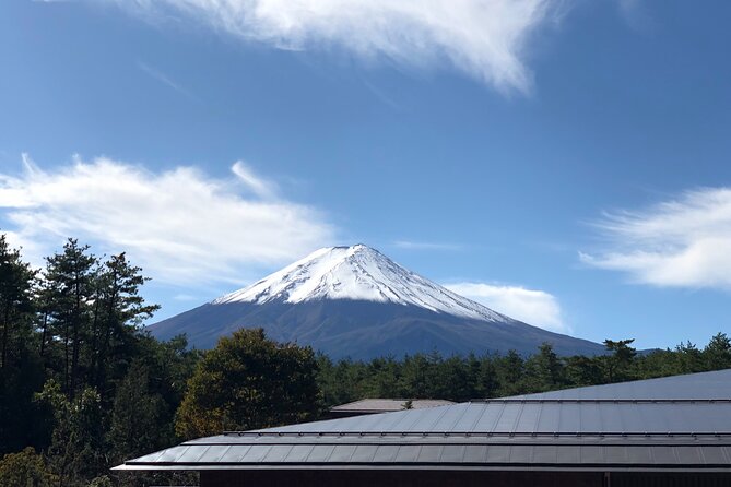 Mt. Fuji & Hakone Bus Tour Bullet Train Return & 28-Hotel Pick-up - Mt. Fuji 5th Station: High-Altitude Views and the Time Reality Check