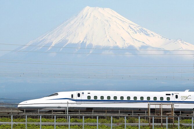 Mt. Fuji & Hakone Bus Tour Bullet Train Return & 28-Hotel Pick-up - Gotemba Lunch Stop: A Real Food Break Before Hakone