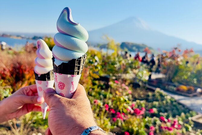 Mt. Fuji & Hakone Cherry Blossom private One Day Tour - Why Mt. Fuji and Hakone together works so well in one day