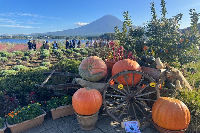 Mt. Fuji & Hakone Cherry Blossom private One Day Tour - Oshino Hakkai: eight ponds fed by Fuji snowmelt