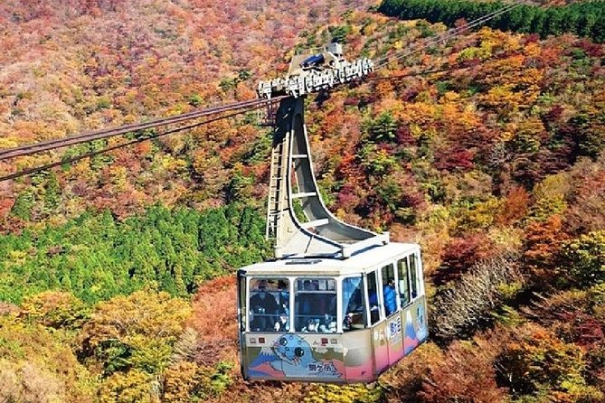 Mt Fuji & Hakone Cruise, Drum Show Bullet Train 1 Day from Tokyo - Getting Back to Tokyo by Shinkansen From Odawara