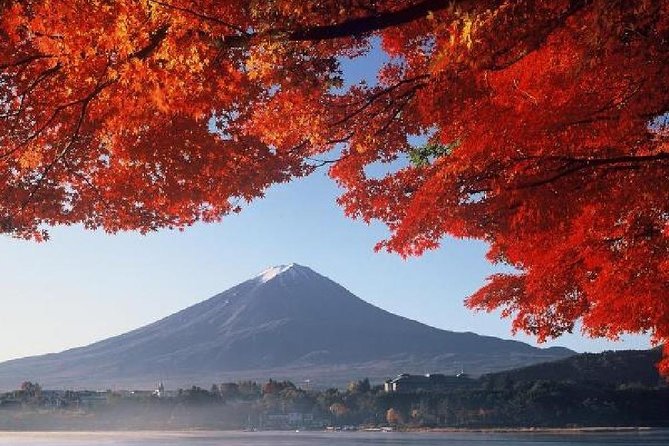Mt Fuji & Hakone Cruise, Drum Show Bus 1 Day from Tokyo - Lake Ashinoko Cruise on the Sorakaze: Short, Scenic, and Expect Visuals