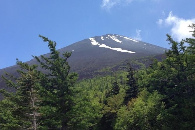 Mt Fuji & Hakone Cruise, Drum Show Bus 1 Day from Tokyo - When Weather Hits, You Still Have a Full Day