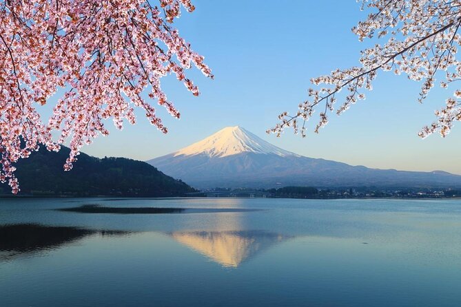 Mt Fuji & Hakone Cruise, Drum Show Bus 1 Day from Tokyo Sta. Area - Key Points That Make This Tour Worth a Look