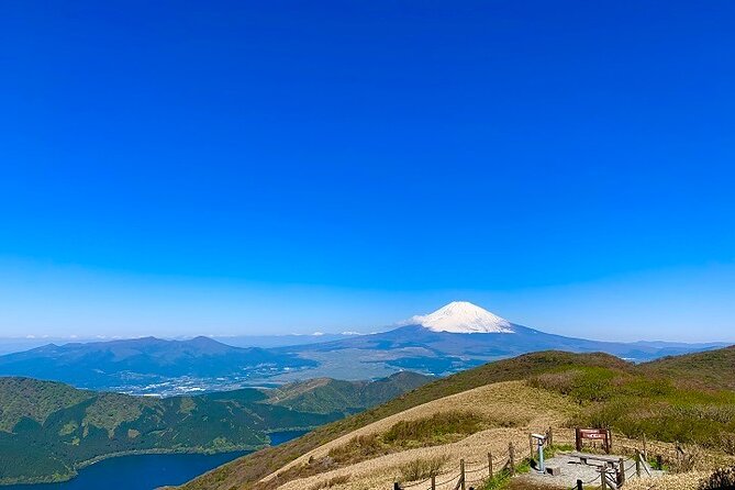 Mt Fuji & Hakone Cruise, Drum Show Bus 1 Day from Tokyo Sta. Area - Price and Value: Is 123.36 USD a Smart Deal?