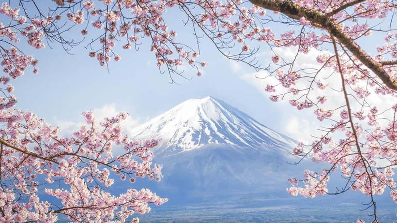 Mt.Fuji Hakone Day Tour With Lake Ashi Cruise, FREE Ropeway - Oshino Hakkai’s Eight Ponds: Clear Water and Wooden Walkways