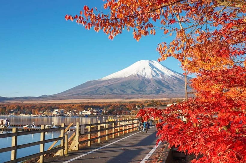 Mt Fuji Hakone/Enoshima Tour:Optional Ropeway/Lake Ashi Boat - Getting from Tokyo: what a shared group day feels like
