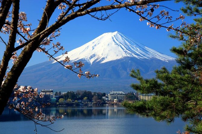 Mt. Fuji & Hakone: Fuji Sengen Shrine, Cruise, and Ramen-Making - Key Highlights That Make This Day Trip Worth Considering