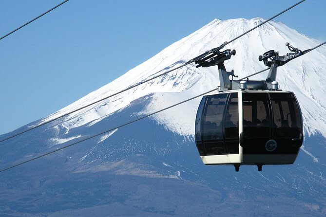 Mt. Fuji & Hakone: Fuji Sengen Shrine, Cruise, and Ramen-Making - Arakura Fuji Sengen Shrine: Torii Gate, Pagoda Views, and the Step Choice