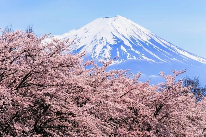 Mt. Fuji, Hakone Full-Day Private Tour with English Driver - Private English-Driver Day Trip From Tokyo: What You Really Get