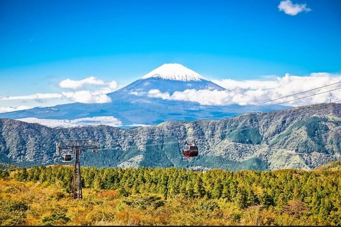 Mt. Fuji, Hakone Full-Day Private Tour with English Driver - Oshino Hakkai and Kitaguchi Hongu Fuji Sengen Jinja: Fuji Lore You Can Walk Through