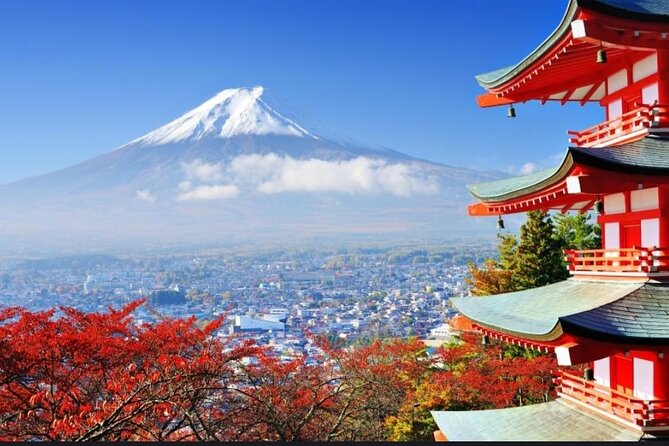 Mt. Fuji, Hakone Full-Day Private Tour with English Driver - The Easy Yoshida Trail Walk to 7th Station: A Practical Hike Option