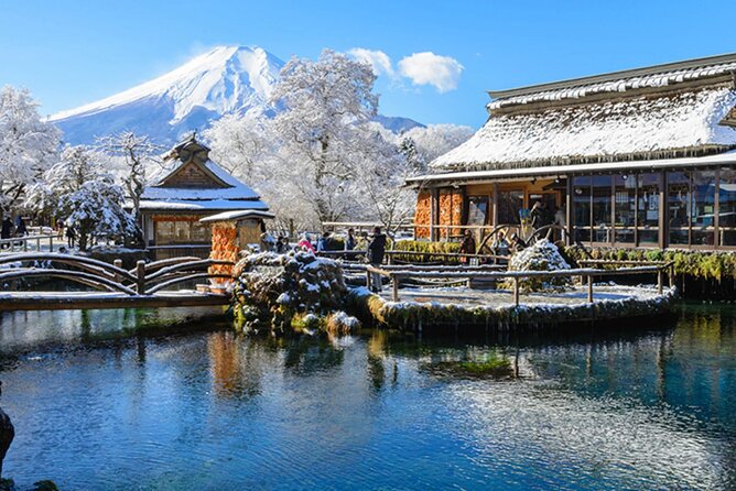 Mt. Fuji, Hakone Full-Day Private Tour with English Driver Guide - Key Things You’ll Notice on This Private Fuji Plus Hakone Day