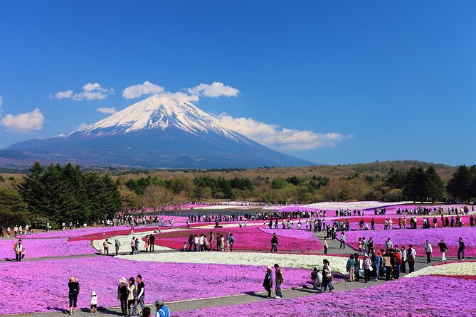 Mt. Fuji, Hakone Full-Day Private Tour with English Driver Guide - Hotel Pickup in Tokyo: The Real Time Saver