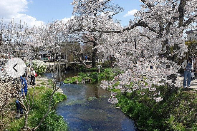Mt. Fuji, Hakone Full-Day Private Tour with English Driver Guide - Lake Kawaguchiko: Where the Fuji View Becomes Personal