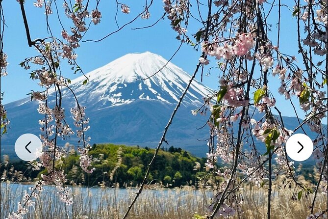 Mt. Fuji, Hakone Full-Day Private Tour with English Driver Guide - Boats, Cable Cars, and a Tough Question: How Much Activity Do You Want?