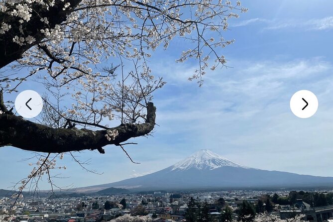 Mt. Fuji, Hakone Full-Day Private Tour with English Driver Guide - Oshino Hakkai: The Quick Pond Stop That Feels Like a Reset