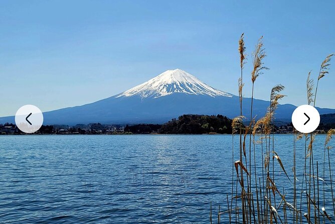 Mt. Fuji, Hakone Full-Day Private Tour with English Driver Guide - Lake Ashi and Hakone Shrine: The Classic Torii Moment