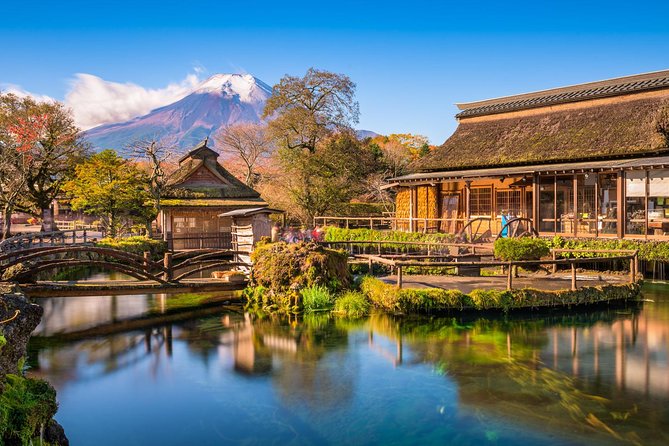 Mt. Fuji & Hakone Private Day Tour with English-Speaking Driver - Price and Logistics: what you are really paying for