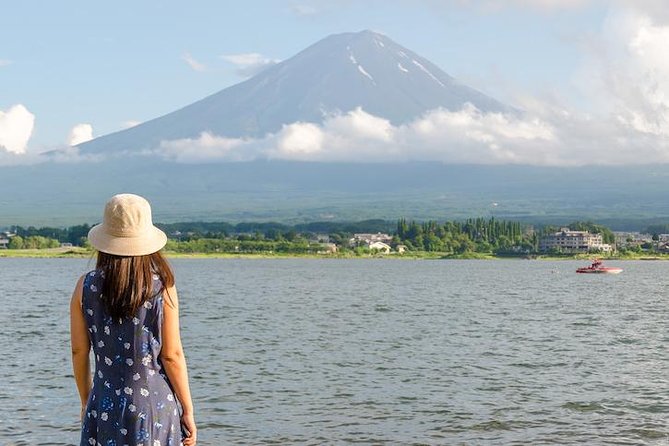 Mt. Fuji & Hakone Private Day Tour with English-Speaking Driver - Lake Ashi pirate cruise and Hakone Shrine torii: the classic postcard loop