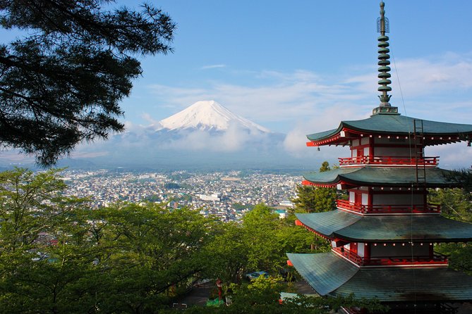 Mt. Fuji & Hakone Private Day Tour with English-Speaking Driver - The private vehicle that saves your day (and your energy)
