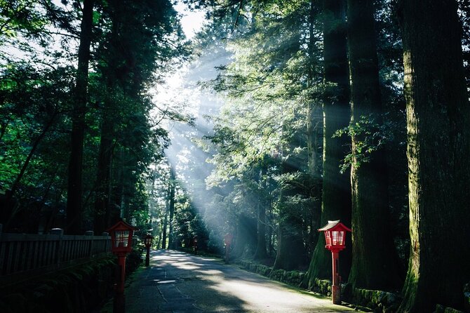 Mt. Fuji, Hakone Private Tour from Tokyo - Onsen, Arts and Nature - Hakone on Scenic Roads: Turnpike Views, Hakone Shrine, and Lake Ashi Torii