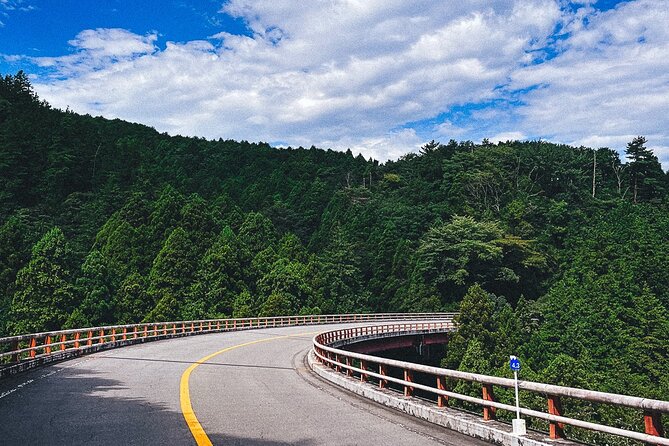 Mt. Fuji, Hakone Private Tour from Tokyo - Onsen, Arts and Nature - The Amazake Chaya Stop and a Hakone-Style Lunch Break