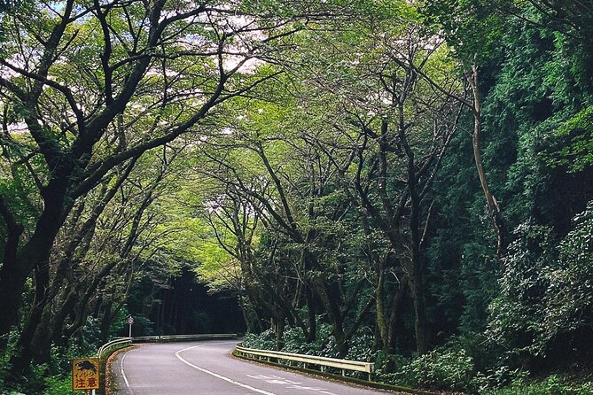 Mt. Fuji, Hakone Private Tour from Tokyo - Onsen, Arts and Nature - Onsen Time at Tenzan Tohji-kyo: Relaxation With Separate Ticket Cost