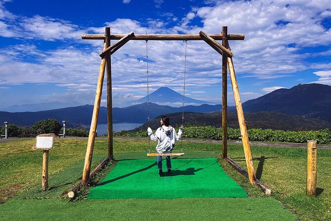 Mt. Fuji, Hakone Private Tour from Tokyo - Onsen, Arts and Nature - Open-Air Museum vs Pola Museum: The Weather-Driven Art Plan