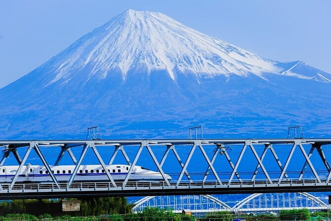 Mt Fuji & Hakone Private Tour from Tokyo: Return by Bullet Train - What Makes This Tour Work So Well From Tokyo?