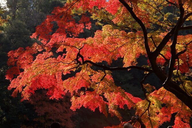 Mt Fuji & Hakone Private Tour from Tokyo: Return by Bullet Train - Fuji Views by the Lakes: Yamanaka and Kawaguchiko Timing Tips