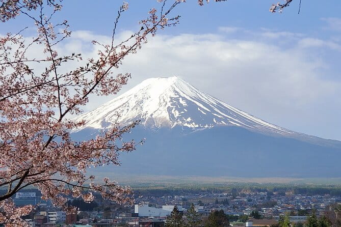Mt Fuji & Hakone Private Tour from Tokyo: Return by Bullet Train - Morning Pickup and the Fuji Five Lakes Hits: Chureito Pagoda to Oshino Hakkai