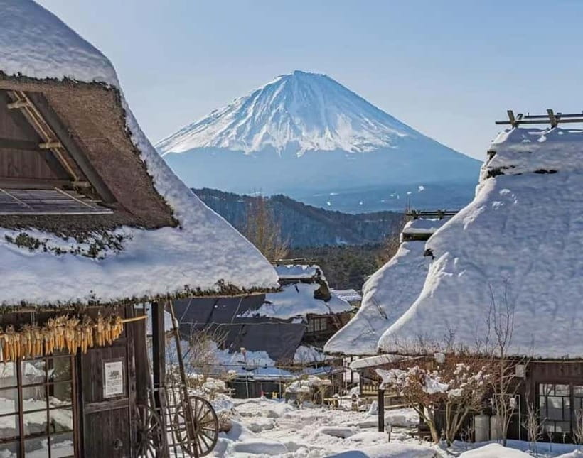 Mt. Fuji Heritage Tour: Traditional Villages, Lakes & Shrine - Getting From Tokyo to Lake Kawaguchi: Where the Day Starts to Pay Off