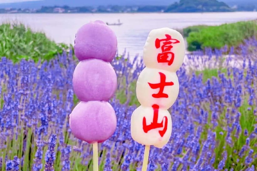 Mt. Fuji Heritage Tour: Traditional Villages, Lakes & Shrine - Arakurayama Sengen Park and Chureito Pagoda: The Famous Fuji-Through-Pagoda Shot