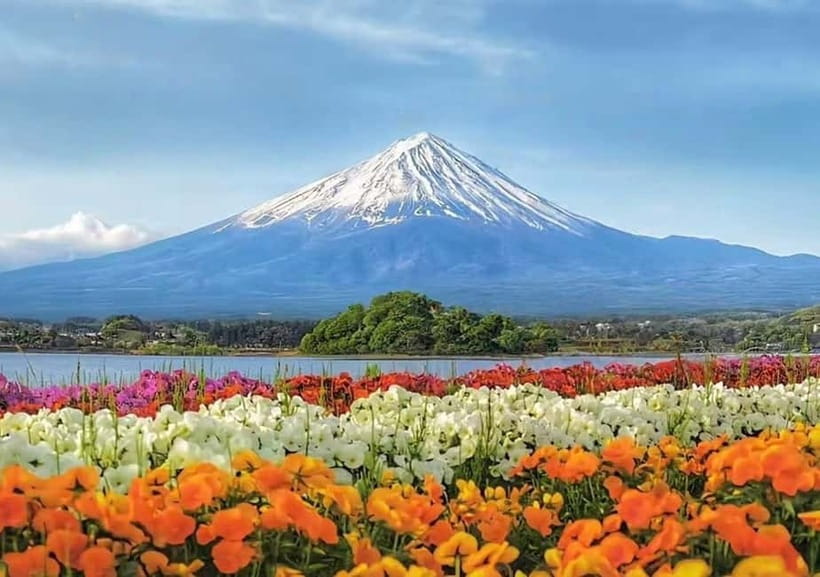 Mt. Fuji Heritage Tour: Traditional Villages, Lakes & Shrine - The Restaurant Break: A Timing Buffer When Lunch Is on You