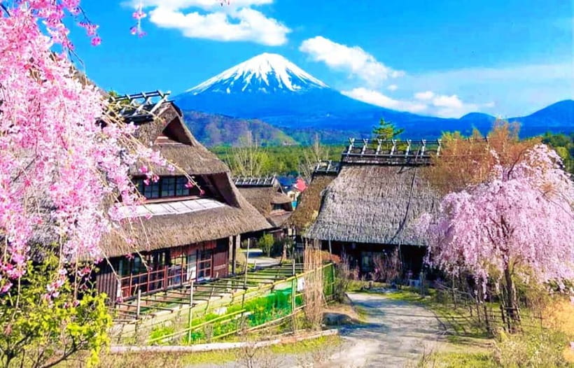 Mt. Fuji Heritage Tour: Traditional Villages, Lakes & Shrine - Saiko Iyashi no Sato Nenba: Thatched Houses, Fuji Photos, and a Fun Little Twist