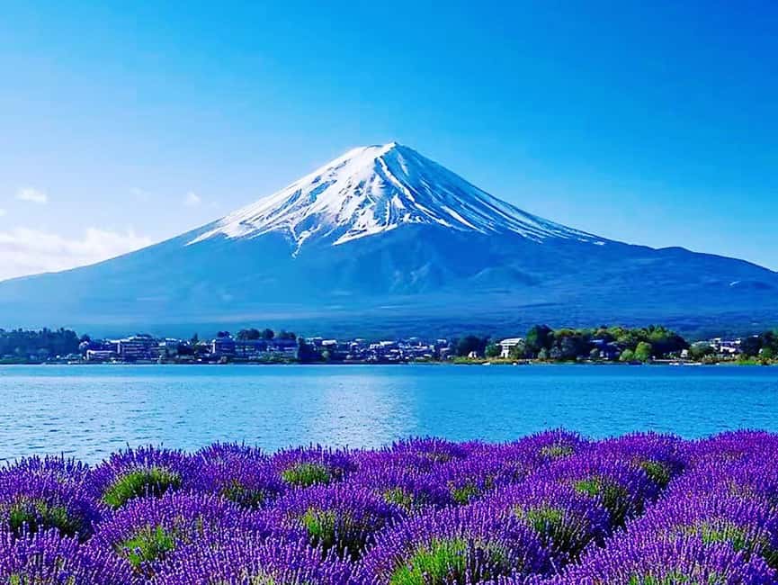 Mt. Fuji & Lake Kawaguchiko Ropeway Panorama Full-Day Tour - FAQ