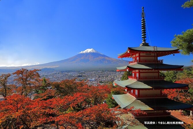 Mt. Fuji, Oishi Park & Arakurayama Pagoda Bus Tour with Lunch - A one-day Fuji plan that saves you from transit chaos