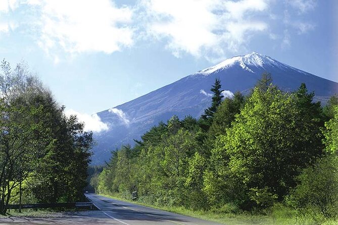 Mt. Fuji, Oishi Park & Arakurayama Pagoda Bus Tour with Lunch - Oishi Park: the quick “Fuji over the lake” payoff
