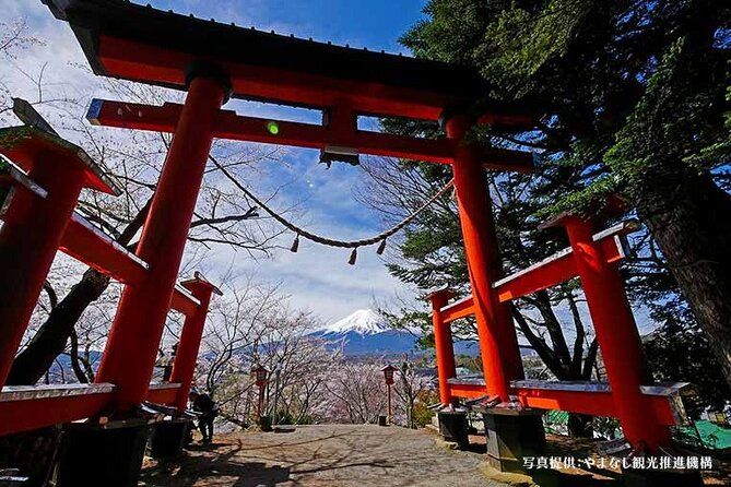 Mt. Fuji, Oishi Park & Arakurayama Pagoda Bus Tour with Lunch - Lunch in Kawaguchiko: your choice, your venue, your timing