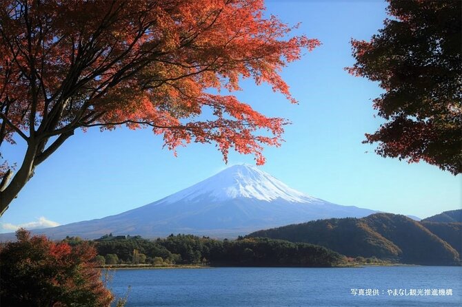 Mt. Fuji, Oishi Park & Arakurayama Pagoda Bus Tour with Lunch - Mt. Fuji 5th Station at 2,300 meters: what you’ll actually feel
