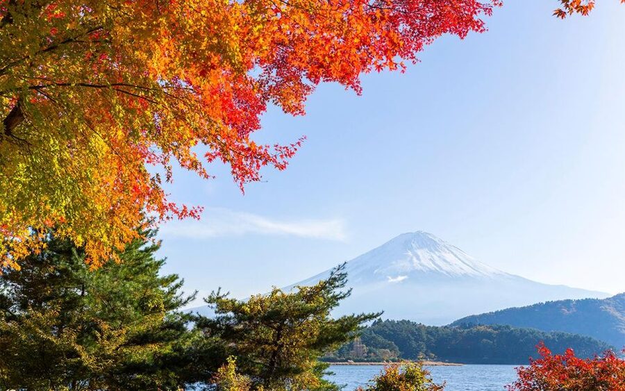Mt Fuji : Private 10-Hour Luxury Tour by Exclusive Car - Chureito Pagoda: the framed Fuji viewpoint that gets the attention for a reason