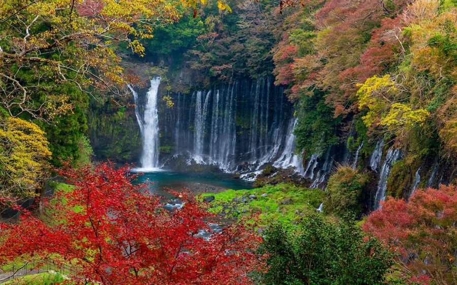 Mt Fuji : Private 10-Hour Luxury Tour by Exclusive Car - Toyota Alphard ride, pickup timing, and what “private” really means