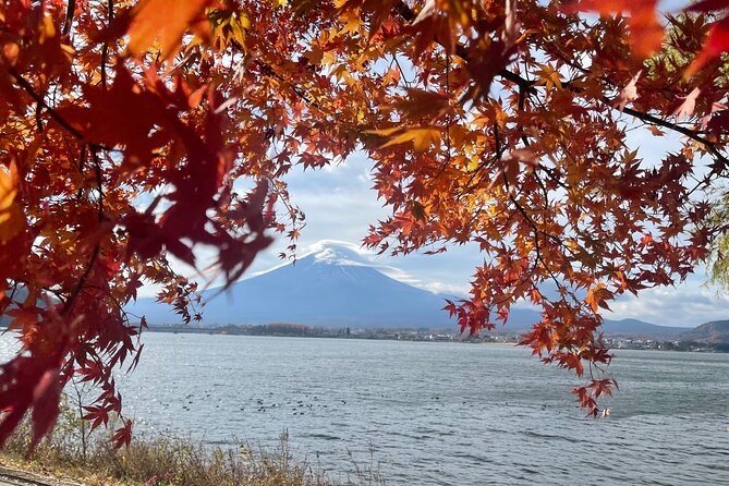 Mt Fuji Private Tour with English Speaking Driver - Why This Mt Fuji Private Tour Feels Like a Real Day Out