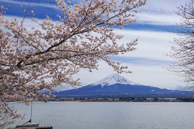 Mt Fuji Private Tour with English Speaking Driver - Arakura Fuji Sengen Shrine and Chureito Pagoda Views