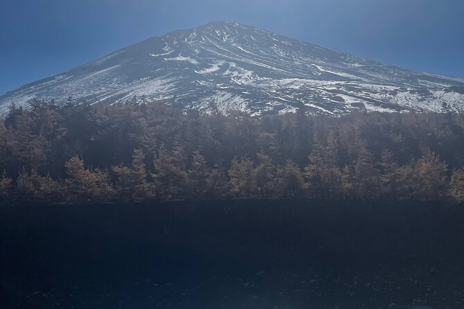 Mt Fuji Private Tour with English Speaking Driver - Lake Kawaguchiko and Oishi Park for Fuji at Eye Level