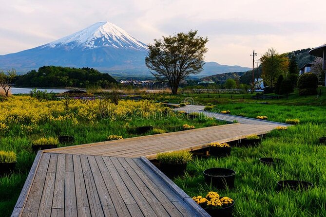 Mt Fuji Private Tour with English Speaking Driver - Optional Mt Fuji Panoramic Ropeway, and When It’s Worth Paying Extra