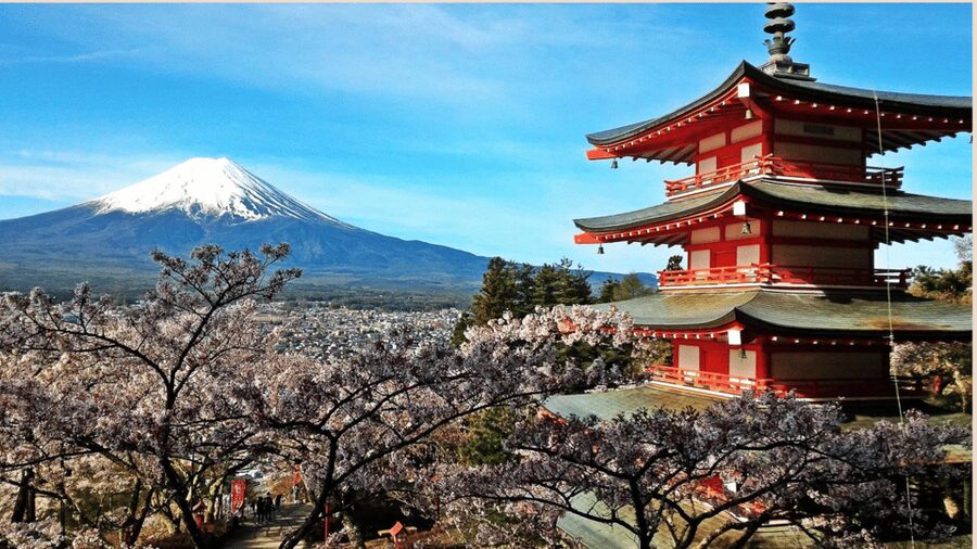 Mt Fuji Sightseeing Private tour with English Speaking Guide - Tokyo Pickup First, Stress Last
