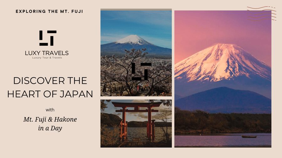 Mt Fuji Sightseeing Private tour with English Speaking Guide - Lake Kawaguchi and Oishi Park: Fuji in the Background, Not the Background Story